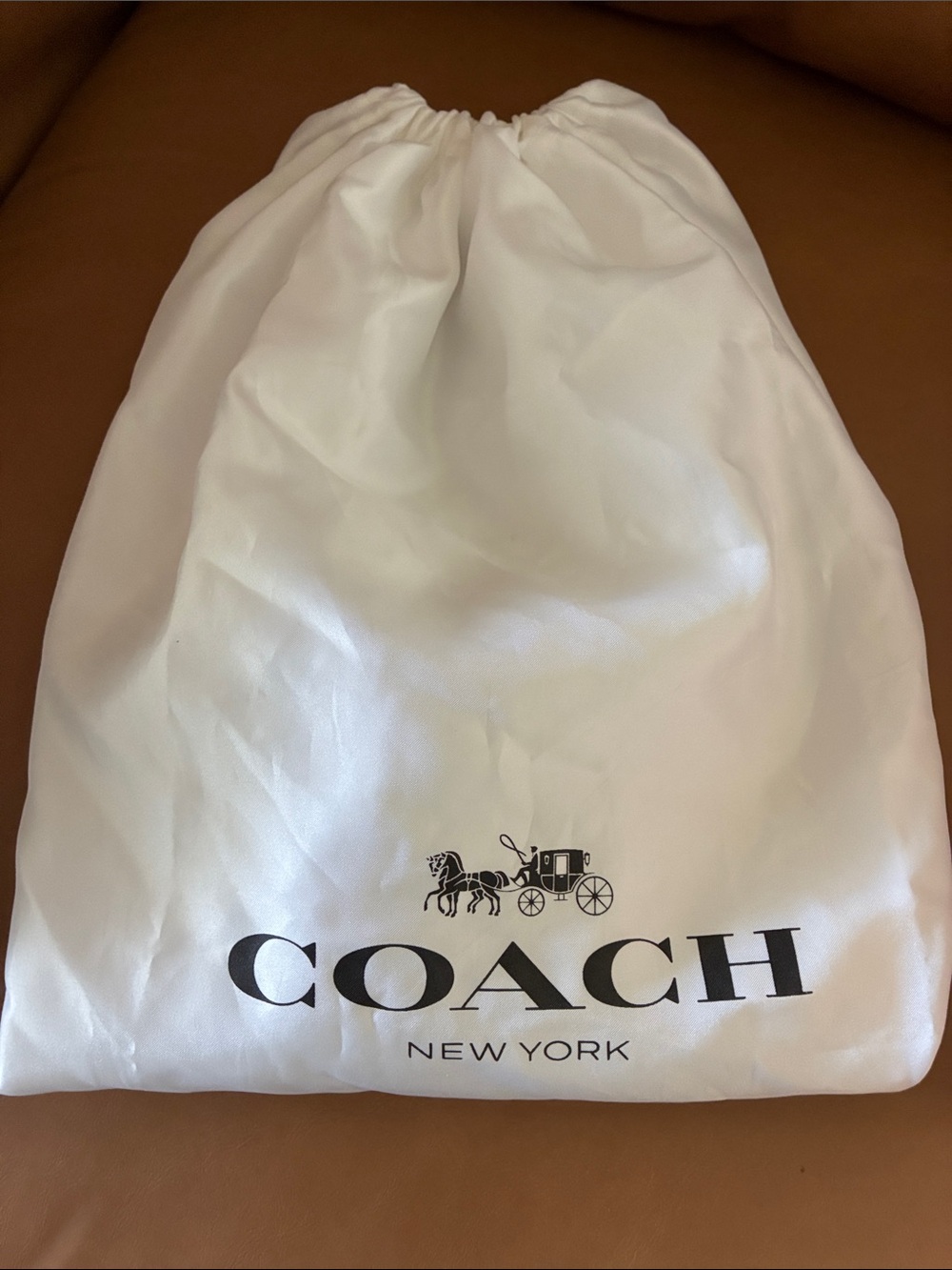 Coach Dust Bag